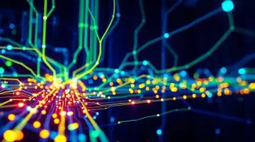Tecnologia da informação: quais carreiras estão dentro da área?